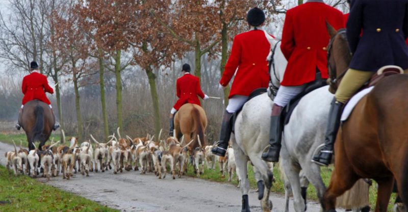 Hunting with hounds